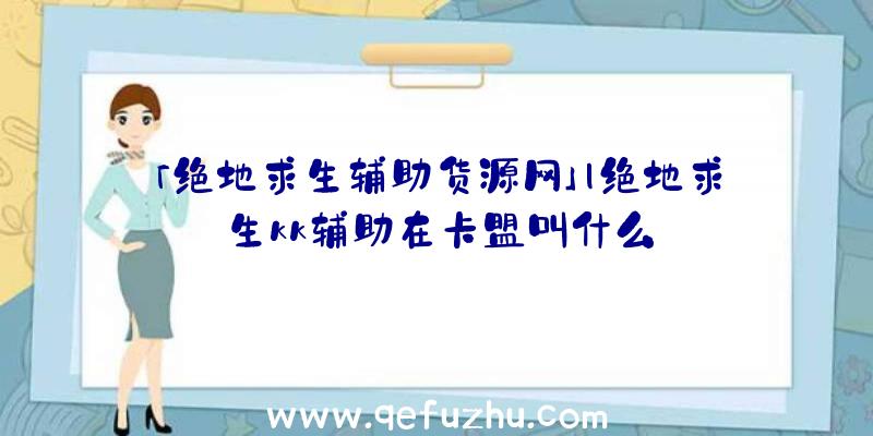 「绝地求生辅助货源网」|绝地求生kk辅助在卡盟叫什么